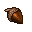 acorn